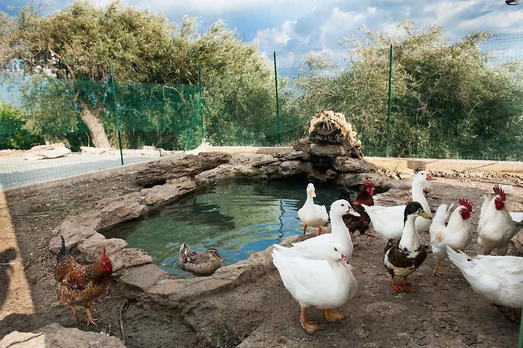 Il Vecchio Frantoio Villa Augusta Italy